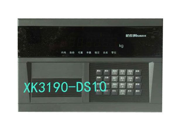 3190-DS10Ǳ